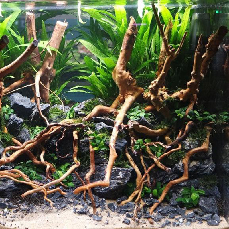 Natural Driftwood Root Trunk T - Aquarium Driftwood ulasan dan harga