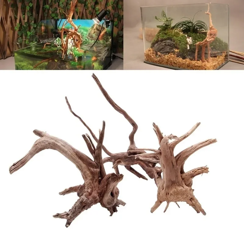 Natural Tree Trunk Driftwood A - Live Plant Aquarium ulasan dan harga