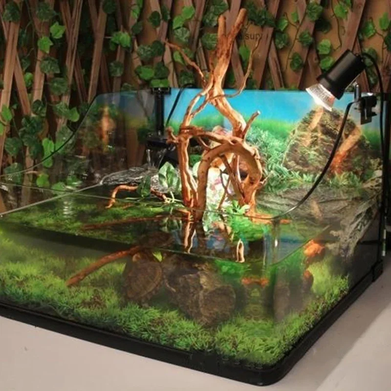 Natural Tree Trunk Driftwood A - Live Plant Aquarium ulasan dan harga