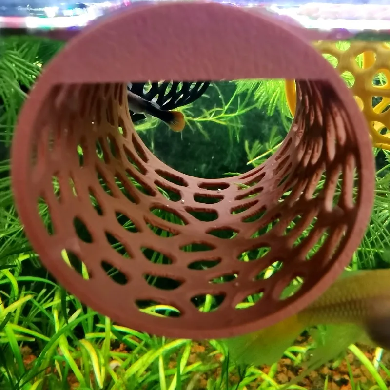 Floating Betta Hammock Tunnel, - Aquarium Plants Live ulasan dan harga