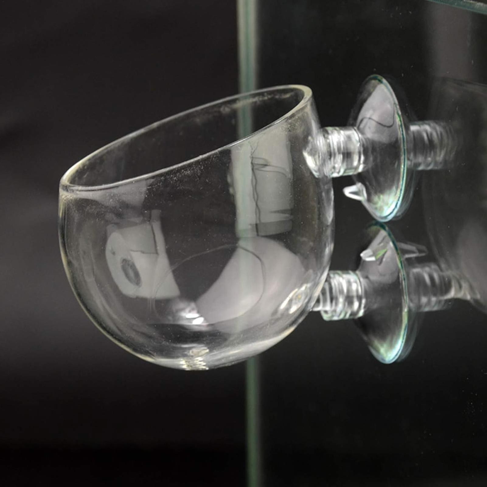 Aquarium Plant Holder Glass Aq - Live Plant Aquarium ulasan dan harga