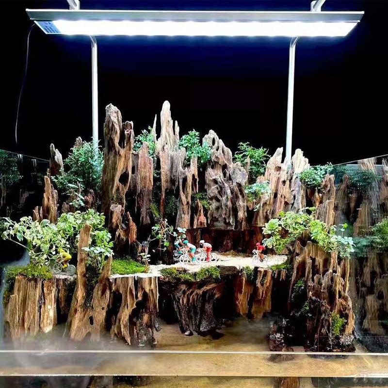 Shrimp Wood Aquarium Decor, Dr - Aquarium Driftwood ulasan dan harga