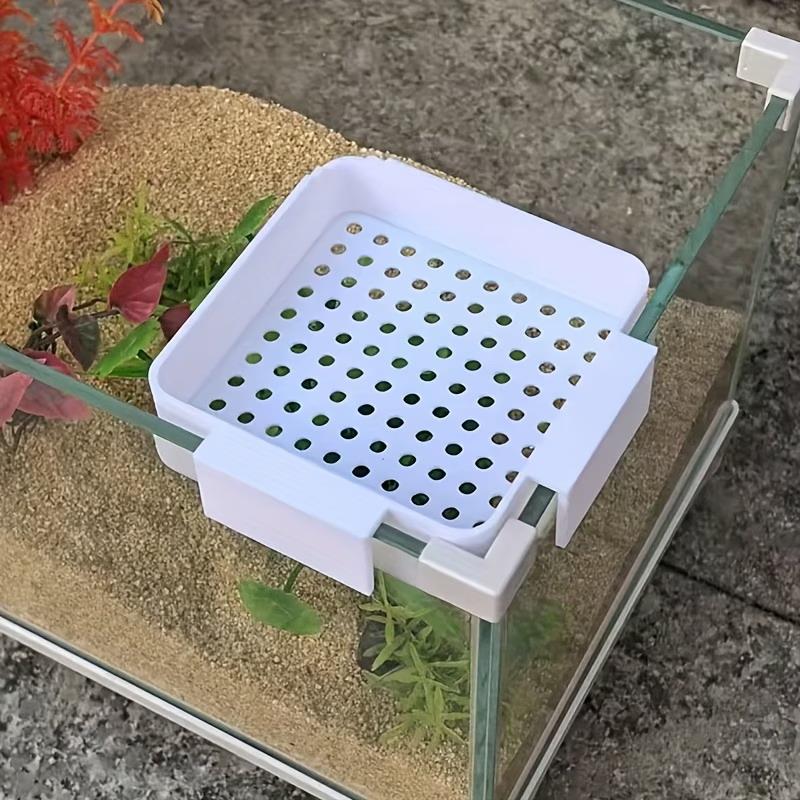 New Aquarium Fish Tank Water C - Aquarium Plant Holder ulasan dan harga