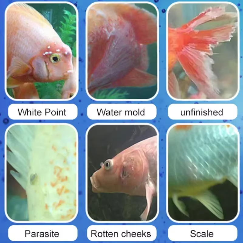 SIKEZHAN Fish Disease Treatmen - Aquarium Fertilizer ulasan dan harga