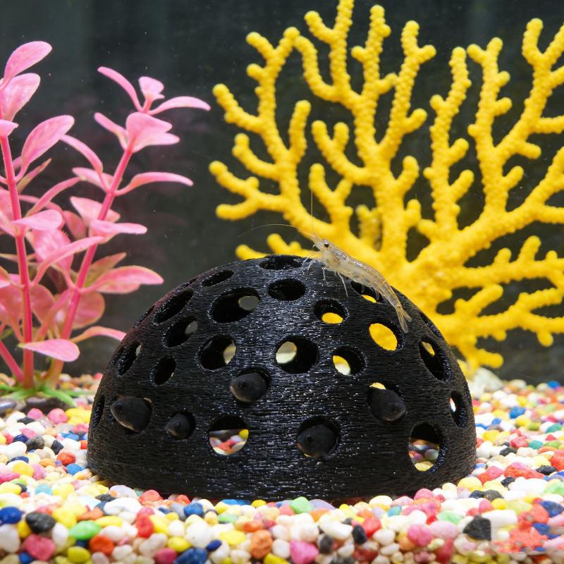 Aquarium Hidden Cave Shelter F - Aquarium Plants Live ulasan dan harga