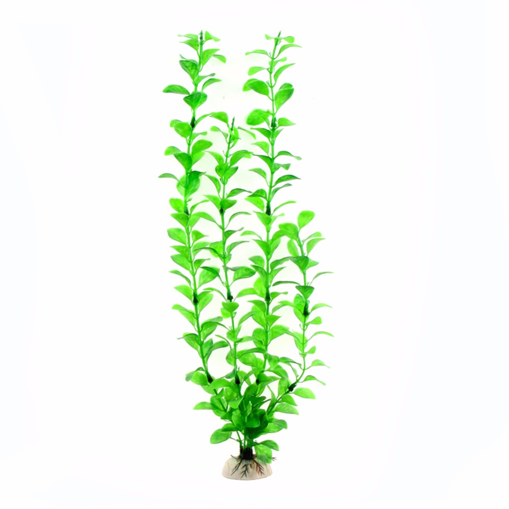 Ornament Aquarium Accessories  - Live Plant Aquarium ulasan dan harga
