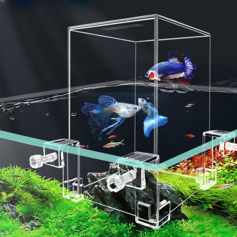 Creative Aquarium Tanks Negati - Plant Aquarium Pot ulasan dan harga