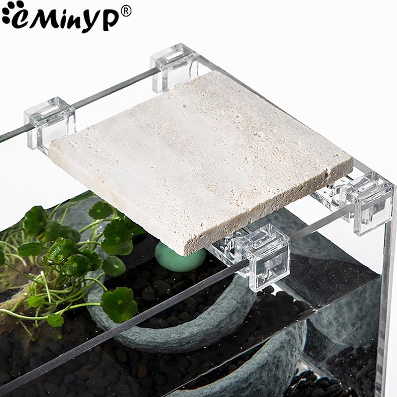 4Pcs Fish Tank Acrylic Clips f - Aquarium Plant Holder ulasan dan harga