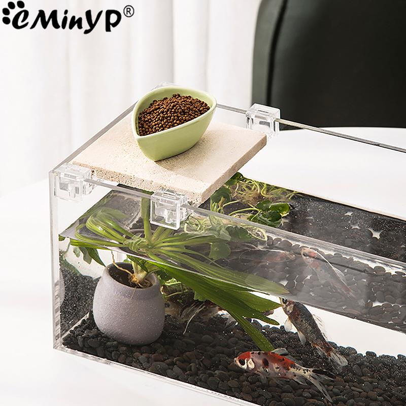 4Pcs Fish Tank Acrylic Clips f - Aquarium Plant Holder ulasan dan harga