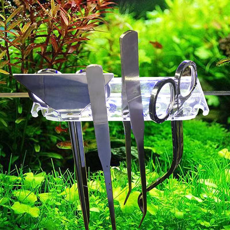 Professional Aquarium Maintena - Live Plant Aquarium ulasan dan harga