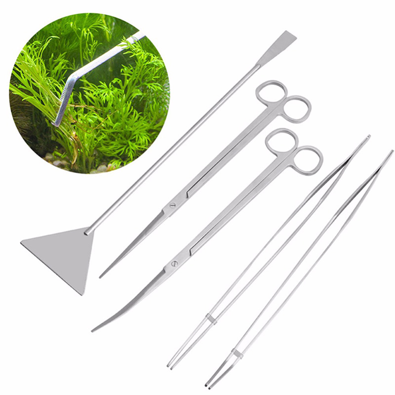 Professional Aquarium Maintena - Live Plant Aquarium ulasan dan harga