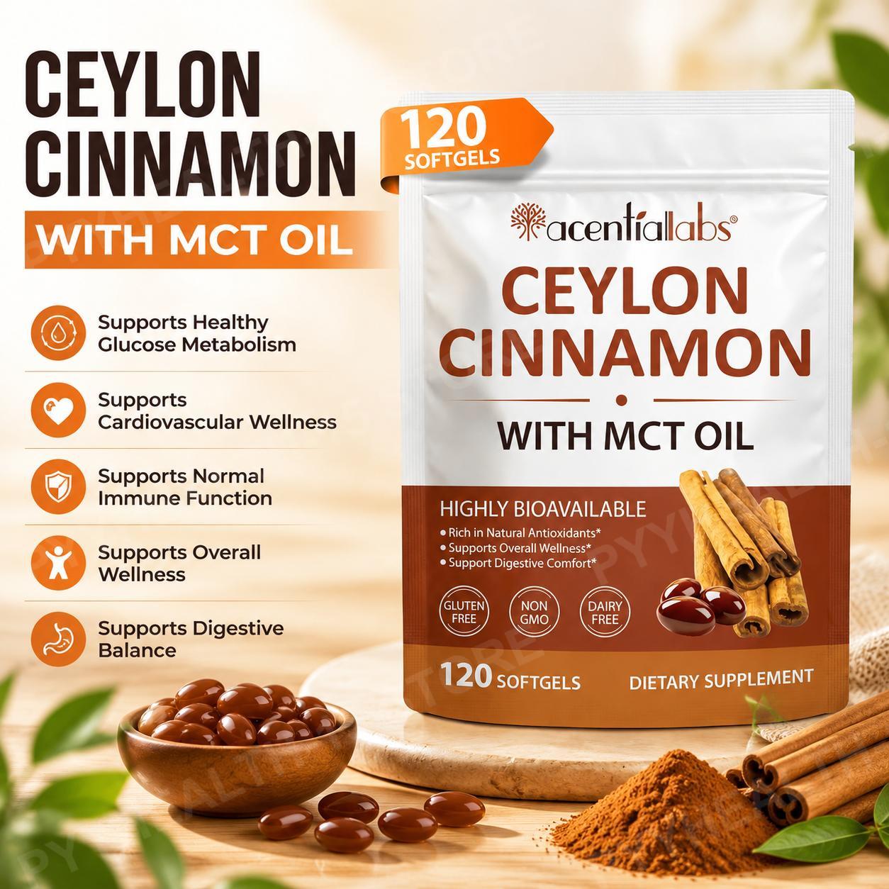 Ceylon Cinnamon with Coconut M - Planted Tank ulasan dan harga