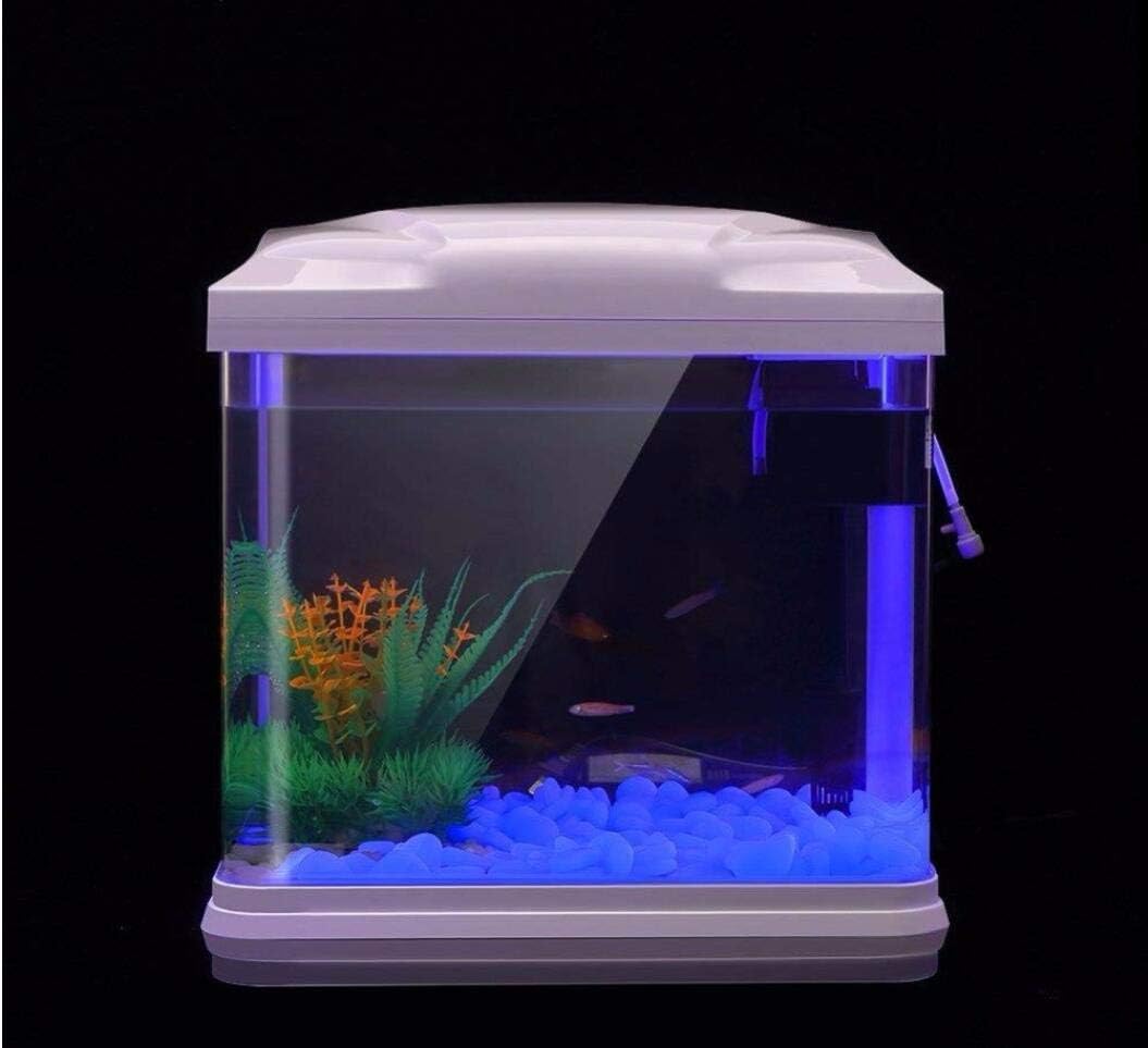 Fish Tank Rocks Glow Blue Pebb - Plant Aquarium Pot ulasan dan harga