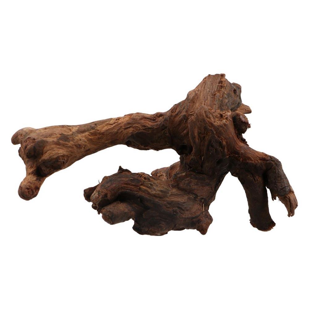 Creative Irregular Shape Coral - Aquarium Driftwood ulasan dan harga