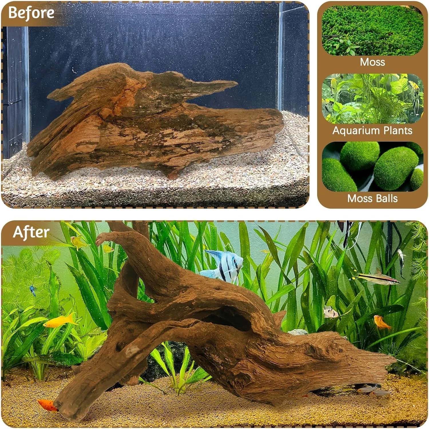 15-20CM 1Pc Natural Driftwood  - Aquarium Plant Substrate ulasan dan harga
