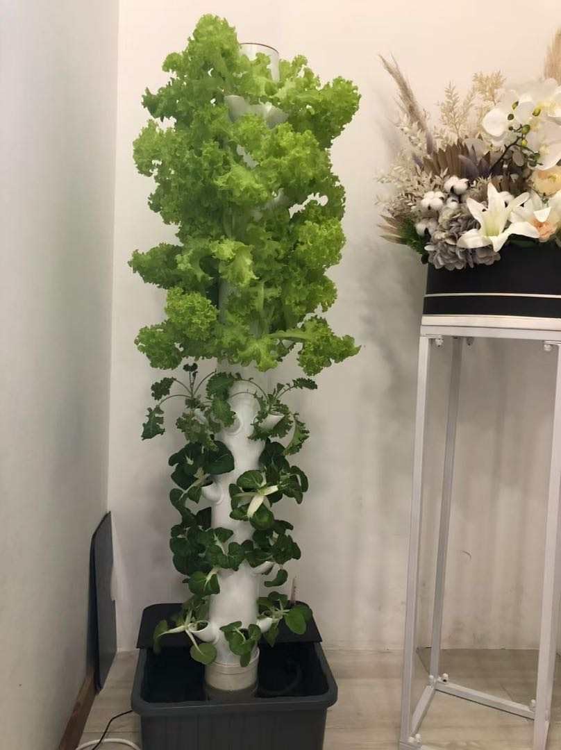 Vertical Hydroponic Grow Tower - Planted Tank ulasan dan harga