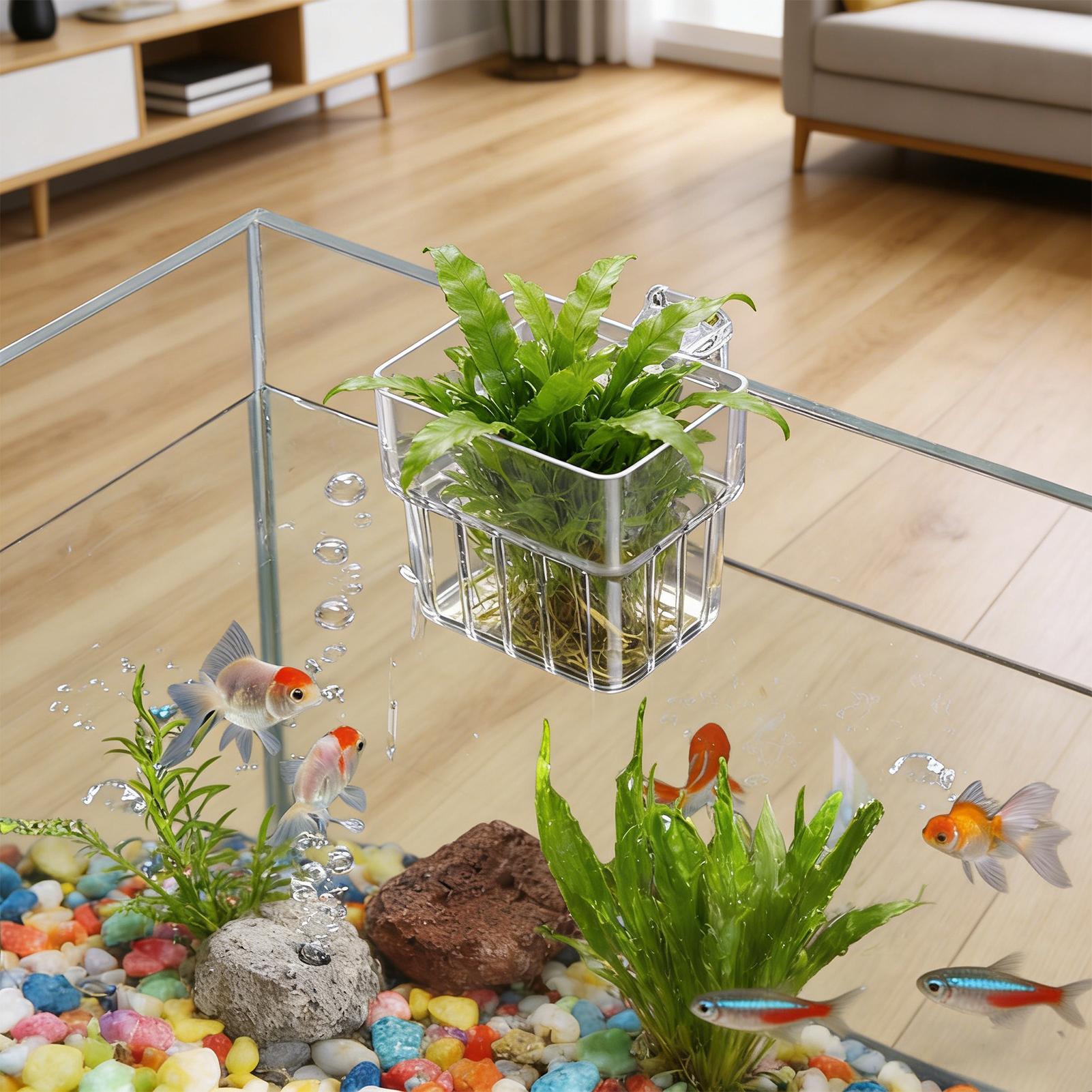 Aquarium Transparent Hanger Po - Plant Aquarium Pot ulasan dan harga