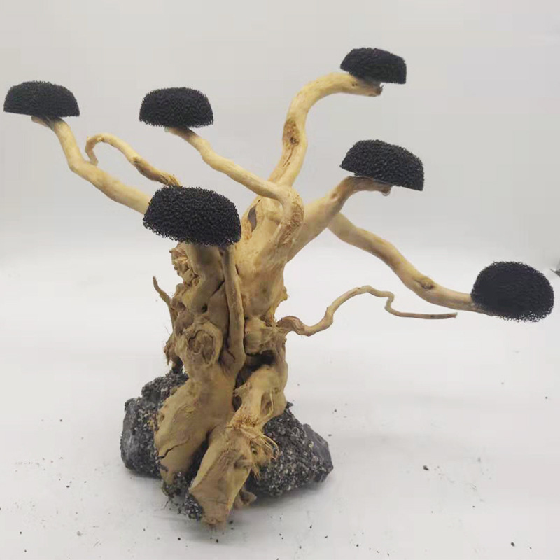 Aquarium Driftwood Landscaping - Aquarium Driftwood ulasan dan harga