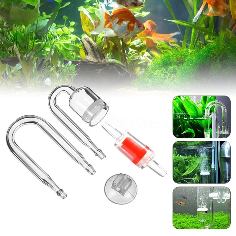 4pcs Set DIY CO2 Diffuser For  - Live Plant Aquarium ulasan dan harga