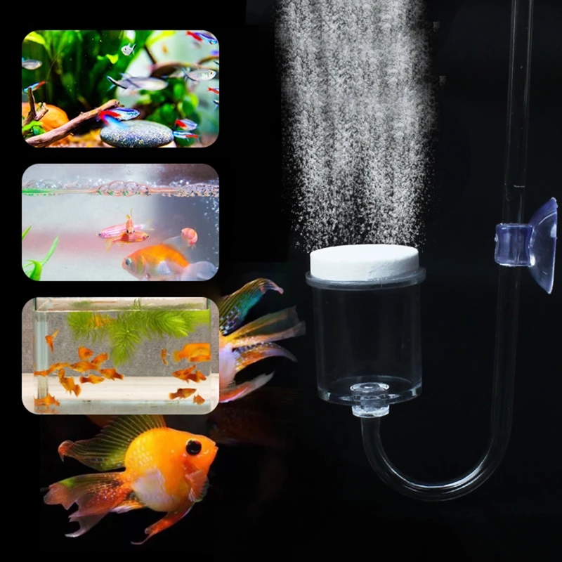 4pcs Set DIY CO2 Diffuser For  - Live Plant Aquarium ulasan dan harga