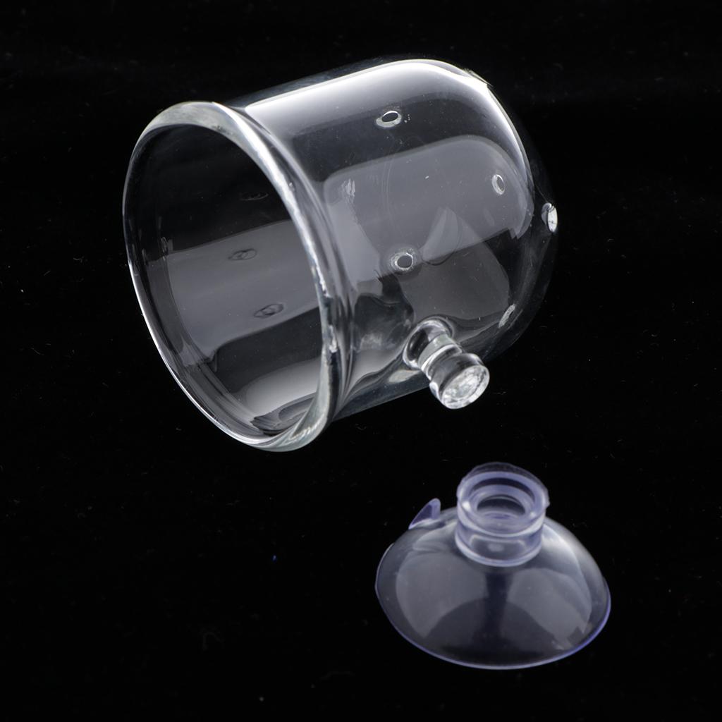 Fish Feeding Basket Glass Aqua - Live Plant Aquarium ulasan dan harga