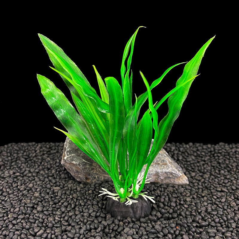 6pcs Packs Aquarium Plants, Fi - Live Plant Aquarium ulasan dan harga